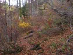2013-10-26_Schildenstein (226).JPG